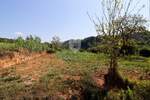 Zemljiste, Motovun, Brkač, prodaja, 99000 €, 800 m2