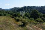 Zemljiste, Motovun, Brkač, prodaja, 99000 €, 800 m2
