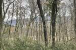 Zemljiste, Mošćenička Draga, Brseč, prodaja, 41500 €, 1039 m2