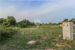Zemljiste, Buje, prodaja, 190000 €, 1200 m2