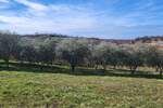 Zemljiste, Vižinada, prodaja, 86000 €, 635 m2