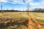 Zemljiste, Žminj, prodaja, 111000 €, 1517 m2