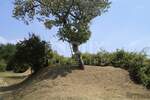 Zemljiste, Karojba, Novaki Motovunski, prodaja, 415000 €, 12550 m2