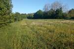 Zemljiste, Pazin, Stari Pazin, prodaja, 300000 €, 5118 m2