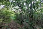 Zemljiste, Labin, prodaja, 58752 €, 13056 m2