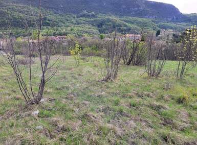 Zemljiste, Lupoglav, prodaja, 123000 €, 3834 m2