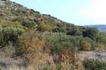 Zemljiste, Trogir, prodaja, 70000 €, 800 m2