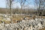 Zemljiste, Krk, prodaja, 36500 €, 1130 m2