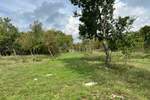 Kuca, Barban, prodaja, 228000 €, 200 m2