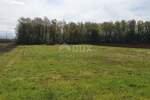Zemljiste, Umag, prodaja, 57000 €, 5180 m2