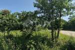 Zemljiste, Vodnjan, Peroj, prodaja, 32000 €, 606 m2
