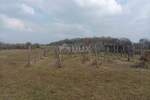 Zemljiste, Buje, prodaja, 39999 €, 1550 m2