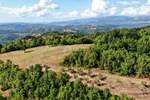 Zemljiste, Cerovlje, Draguć, prodaja, 120000 €, 40777 m2
