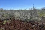 Zemljiste, Kaštelir-Labinci, Labinci, prodaja, 42600 €, 744 m2