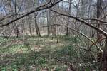 Zemljiste, Labin, prodaja, 66000 €, 1053 m2