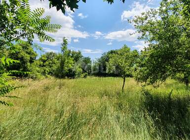 Zemljiste, Barban, prodaja, 112000 €, 2241 m2