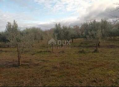 Zemljiste, Barban, prodaja, 100000 €, 9707 m2
