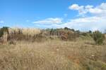 Zemljiste, Pula, Šijana, prodaja, 1520000 €, 12350 m2