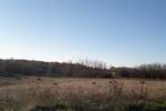 Zemljiste, Višnjan, Vranići kod Višnjana, prodaja, 69000 €, 13245 m2