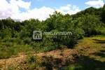 Zemljiste, Jelenje, Martinovo Selo, prodaja, 83000 €, 1947 m2