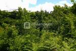 Zemljiste, Jelenje, Martinovo Selo, prodaja, 83000 €, 1947 m2