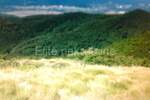 Zemljiste, Čavle, Cernik, prodaja, 124000 €, 1500 m2