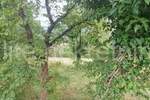 Zemljiste, Čavle, Cernik, prodaja, 124000 €, 1500 m2