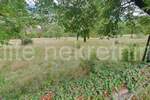 Zemljiste, Čavle, Cernik, prodaja, 124000 €, 1500 m2