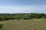 Zemljiste, Višnjan, prodaja, 266000 €, 62710 m2