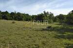 Zemljiste, Višnjan, prodaja, 266000 €, 62710 m2