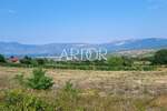 Zemljiste, Pićan, prodaja, 180000 €, 11584 m2