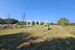 Zemljiste, Žminj, prodaja, 97000 €, 1246 m2