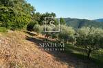 Zemljiste, Oprtalj, Gradinje, prodaja, 220000 €, 4114 m2