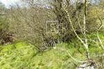 Zemljiste, Čavle, prodaja, 75000 €, 758 m2
