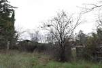 Zemljiste, Rovinj, prodaja, 125000 €, 730 m2