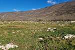 Zemljiste, Kršan, prodaja, 69500 €, 1084 m2