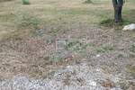 Zemljiste, Marčana, Loborika, prodaja, 44495 €, 809 m2