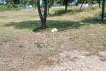 Zemljiste, Marčana, Loborika, prodaja, 44495 €, 809 m2