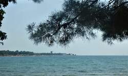 Poslovni prostor, Umag, prodaja, 8500000 €, 5860 m2