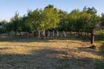 Zemljiste, Vinodol, Bribir, prodaja, 52000 €, 428 m2
