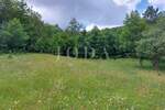 Zemljiste, Vinodol, Bribir, prodaja, 37000 €, 3534 m2