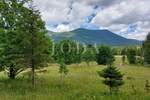 Zemljiste, Vinodol, Bribir, prodaja, 37000 €, 3534 m2