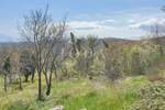 Zemljiste, Vinodol, Bribir, prodaja, 140000 €, 942 m2