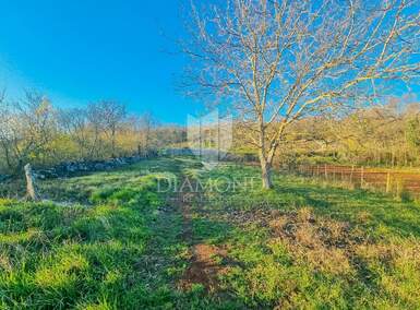 Zemljiste, Grožnjan, prodaja, 94000 €, 1680 m2