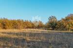 Zemljiste, Barban, Petehi, prodaja, 90000 €, 10733 m2