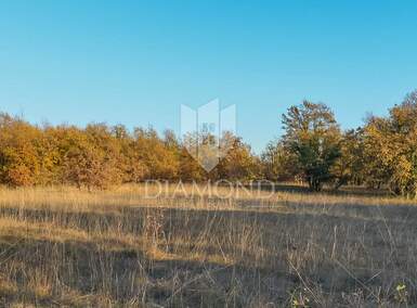Zemljiste, Barban, Petehi, prodaja, 90000 €, 10733 m2