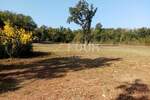Zemljiste, Poreč, prodaja, 60000 €, 2663 m2