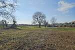 Zemljiste, Novigrad, prodaja, 239000 €, 0 m2