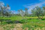 Zemljiste, Buje, prodaja, 249000 €, 1423 m2