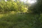 Zemljiste, Delnice, Lučice, prodaja, 129000 €, 2436 m2